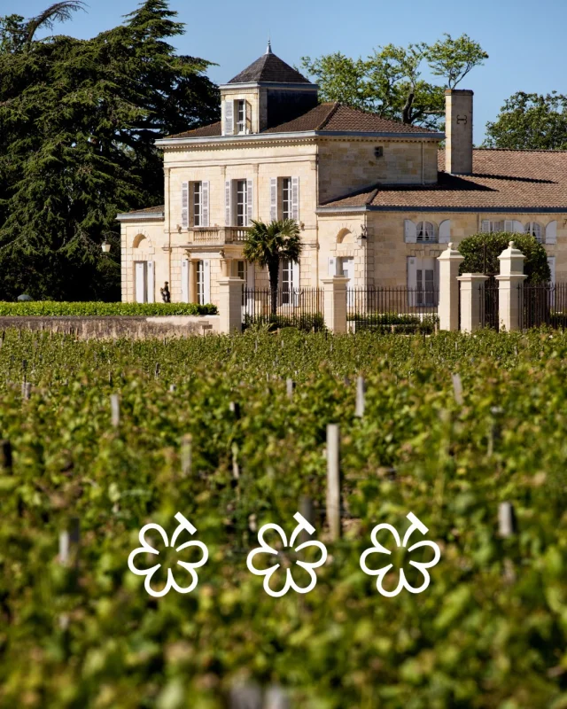 Pour la première sélection bordelaise des Grappes Michelin, Château Montrose reçoit Trois Grappes, la plus haute distinction.
Un hommage à un terroir façonné par le temps, à une nature préservée, à des gestes transmis avec exigence,
et à cette quête de perfection qui, depuis toujours, accompagne Montrose.
Une distinction qui nous honore. Une exigence qui nous engage.

◆

In the first Bordeaux selection for the Michelin Grappes, Château Montrose has been awarded Three Grappes, the highest distinction.
A tribute to a terroir shaped by time, to unspoiled nature, to traditions passed down with the utmost care,
and to the pursuit of perfection that has always defined Montrose.
An honor that we cherish. A standard that we are committed to upholding.